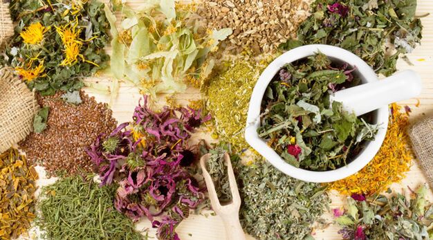 Heilpflanzen, die im Kampf gegen Diabetes mellitus helfen